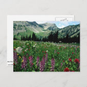 カリフォルニアのパサイテン原野の高山草原 ポストカード (正面/裏面)