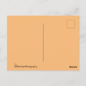 カリフォルニアのパームツリーズオンビーチアットサンセット ポストカード (裏面)