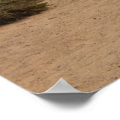 カリフォルニアのビッグスール海岸のビクビー橋 ポスター (角)