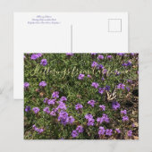 カリフォルニアのフラッターズ：デ・ラ・ミナ・ヴェルベナPo ポストカード (正面/裏面)