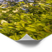 カリフォルニアのブドウ園と紫の花 ポスター (角)