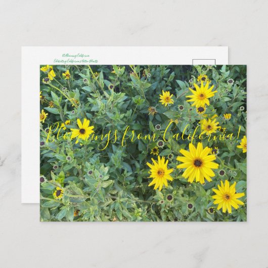 カリフォルニアのブラッドネス:アンセリア・カリフォルニア ポストカード (正面/裏面)