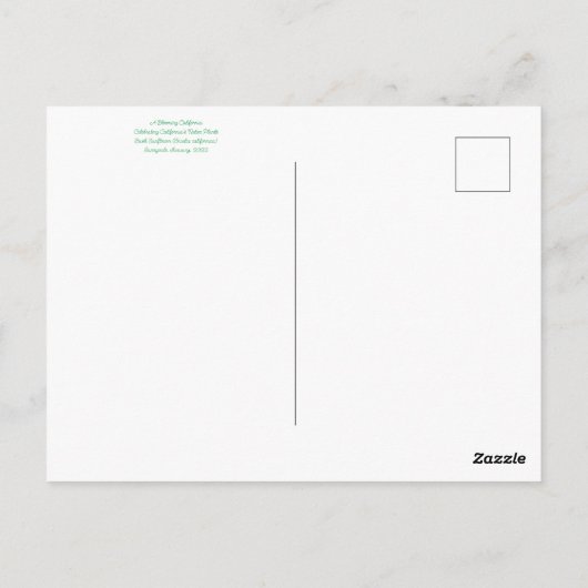 カリフォルニアのブラッドネス:アンセリア・カリフォルニア ポストカード (裏面)