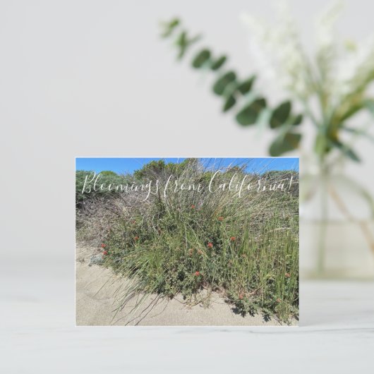 カリフォルニアのブラッドネス:インディアン絵を描ブラシ ポストカード (スタンド正面)