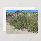 カリフォルニアのブラッドネス:インディアン絵を描ブラシ ポストカード (正面/裏面)