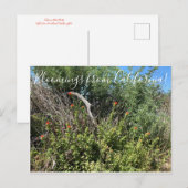 カリフォルニアのブラッドネス:インディアン絵を描ブラシ ポストカード (正面/裏面)