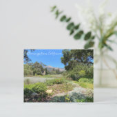 カリフォルニアのブラッドネス：ウェスタンオダマキ（植物） ポストカード (スタンド正面)