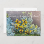 カリフォルニアのブラッドネス：カタリナ・シルバーレース ポストカード (正面/裏面)