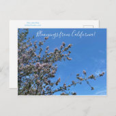 カリフォルニアのブラッドネス：バックブラシ ポストカード (正面/裏面)