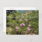 カリフォルニアのブラッドネス:砂漠の柳はがき ポストカード (正面/裏面)