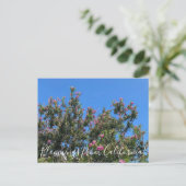 カリフォルニアのブラッドネス:砂漠の柳はがき ポストカード (スタンド正面)