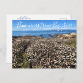 カリフォルニアのブラッドミンズ:シークリフソバポス ポストカード (正面/裏面)