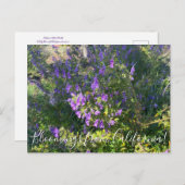 カリフォルニアのブラミングス:ウリー・ブルークルスのポストカ ポストカード (正面/裏面)