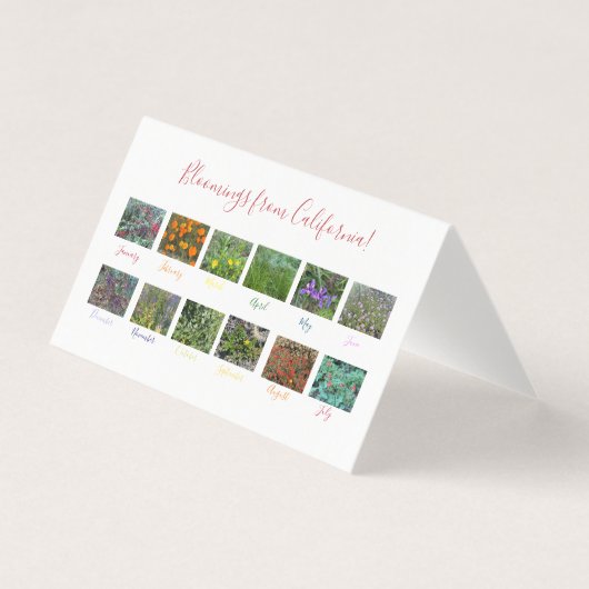 カリフォルニアのブラームズ！ (正面)