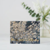 カリフォルニアのブラームズ:カリフォルニアの永遠 ポストカード (スタンド正面)