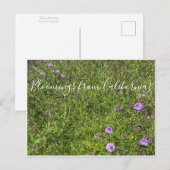 カリフォルニアのブラームズ：デ・ラ・ミナ・ヴェルベナ ポストカード (正面/裏面)