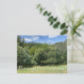 カリフォルニアのブラームズ：バケイス ポストカード (スタンド正面)