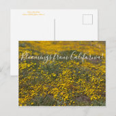 カリフォルニアのブラームズ！ ポストカード (正面/裏面)