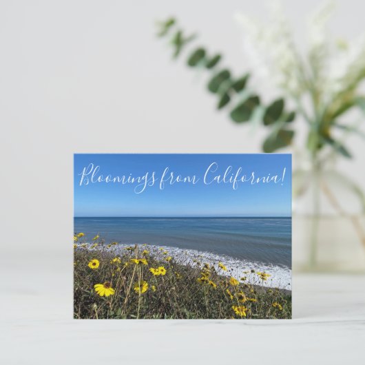 カリフォルニアのブラームズ! ポストカード (スタンド正面)