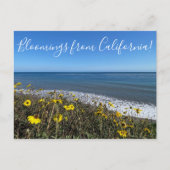 カリフォルニアのブラームズ! ポストカード (正面)