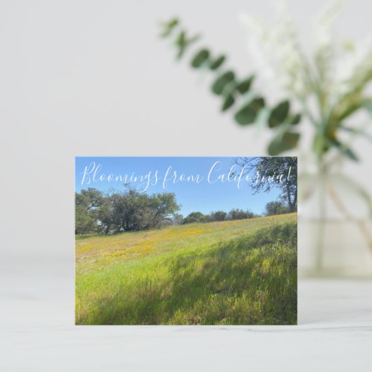 カリフォルニアのブラームズ!ポストカード ポストカード (スタンド正面)