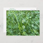 カリフォルニアのブラームズ:春美しい ポストカード (正面/裏面)