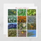 カリフォルニアのブルーミング!ノートカード ノートカード (正面/裏面)