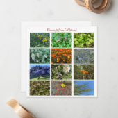 カリフォルニアのブルーミング!ノートカード ノートカード (正面/裏面インサイチュ)