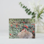 カリフォルニアのブルーム:ウェインズシルバー明るい赤紫色 ポストカード (スタンド正面)