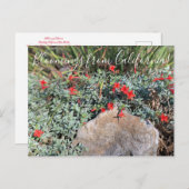 カリフォルニアのブルーム:ウェインズシルバー明るい赤紫色 ポストカード (正面/裏面)