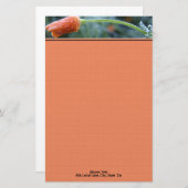 カリフォルニアのポピー朝の霜の写真パーソナライズされた 便箋 (正面/裏面)