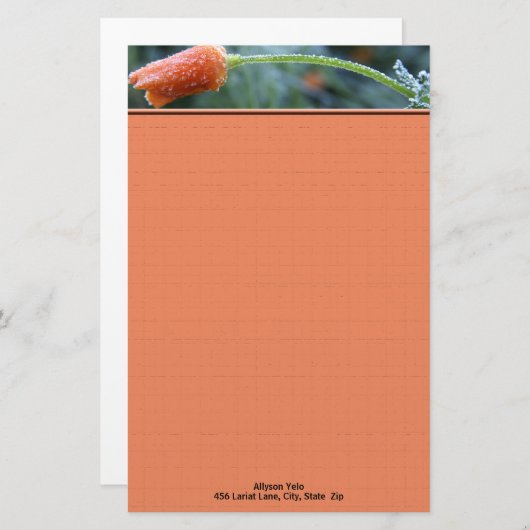 カリフォルニアのポピー朝の霜の写真パーソナライズされた 便箋 (正面/裏面)