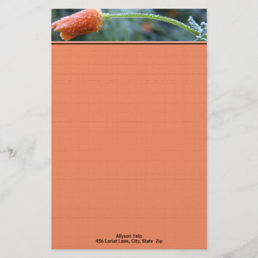 カリフォルニアのポピー朝の霜の写真パーソナライズされた 便箋 (正面)