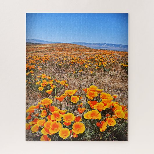 カリフォルニアのポピー畑 – 花 – 16x20 - 520 pc ジグソーパズル (縦)