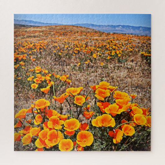 カリフォルニアのポピー畑 – 花 – 20x20 - 676 pc ジグソーパズル (縦)