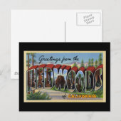 カリフォルニアのレッドウッドからの挨拶 ポストカード (正面/裏面)