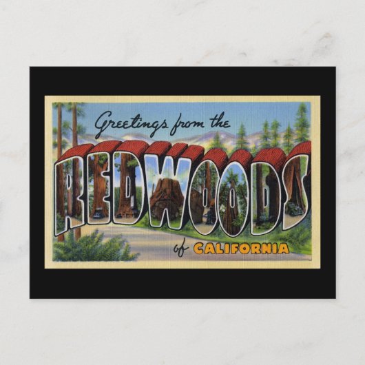 カリフォルニアのレッドウッドからの挨拶 ポストカード (正面)