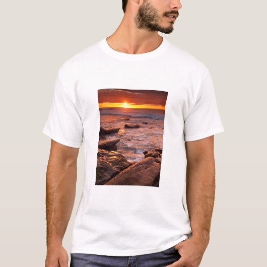 カリフォルニアの夕日のタイドプール Tシャツ (正面)
