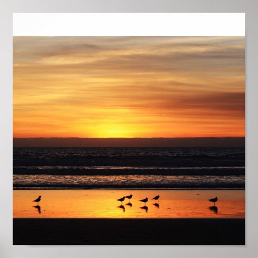 カリフォルニアの夕日 ポスター (正面)