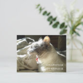 カリフォルニアの夢 ポストカード (スタンド正面)