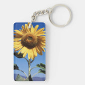 カリフォルニアの巨大なひまわり (Helianthus) 3 キーホルダー (裏面)