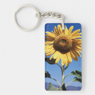 カリフォルニアの巨大なひまわり (Helianthus) 3 キーホルダー