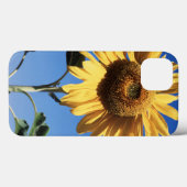 カリフォルニアの巨大なひまわり (Helianthus) 3 Case-Mate iPhoneケース (裏面 (横))