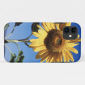 カリフォルニアの巨大なひまわり (Helianthus) 3 Case-Mate iPhoneケース (裏面(横))