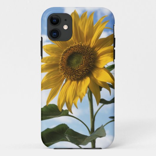 カリフォルニアの巨大なひまわり (Helianthus) 4 Case-Mate iPhoneケース (裏面)