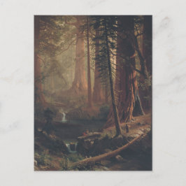 カリフォルニアの巨大なレッドウッドの木 ポストカード