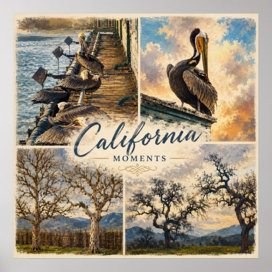 カリフォルニアの思い出 ポスター (正面)
