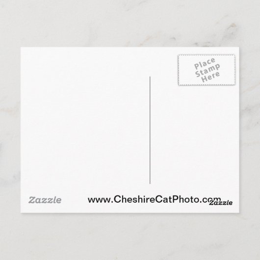 カリフォルニアの海のカワウソ カリフォルニア製品 ポストカード (裏面)