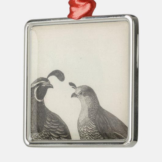 カリフォルニアの男性及び女性のヤマウズラ メタルオーナメント (左)