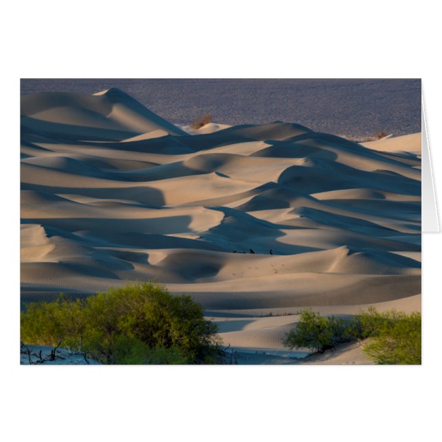 カリフォルニアの砂丘の風景 (正面横)